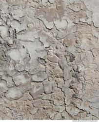 Walls Plaster